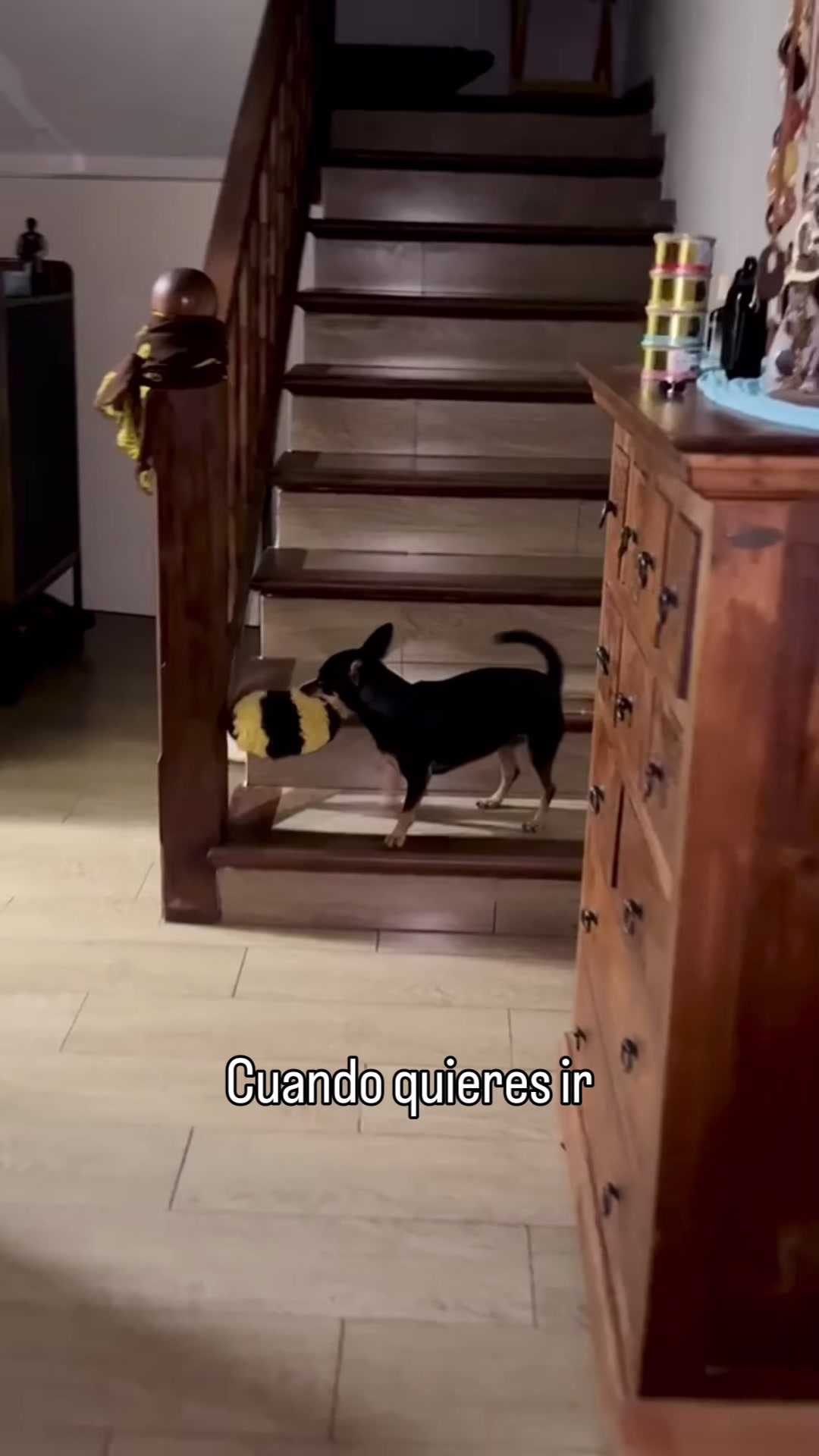 @Teamocerdito