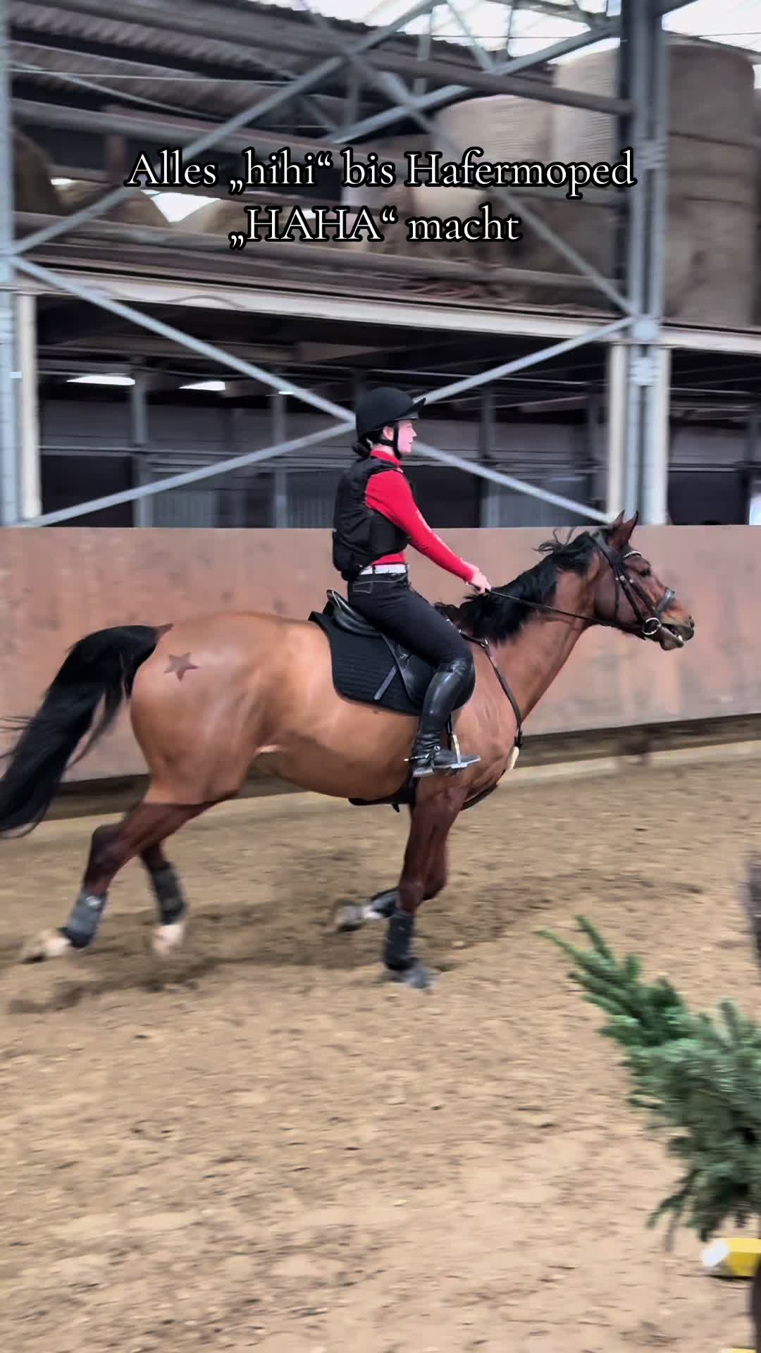 @lea_ponyeventing