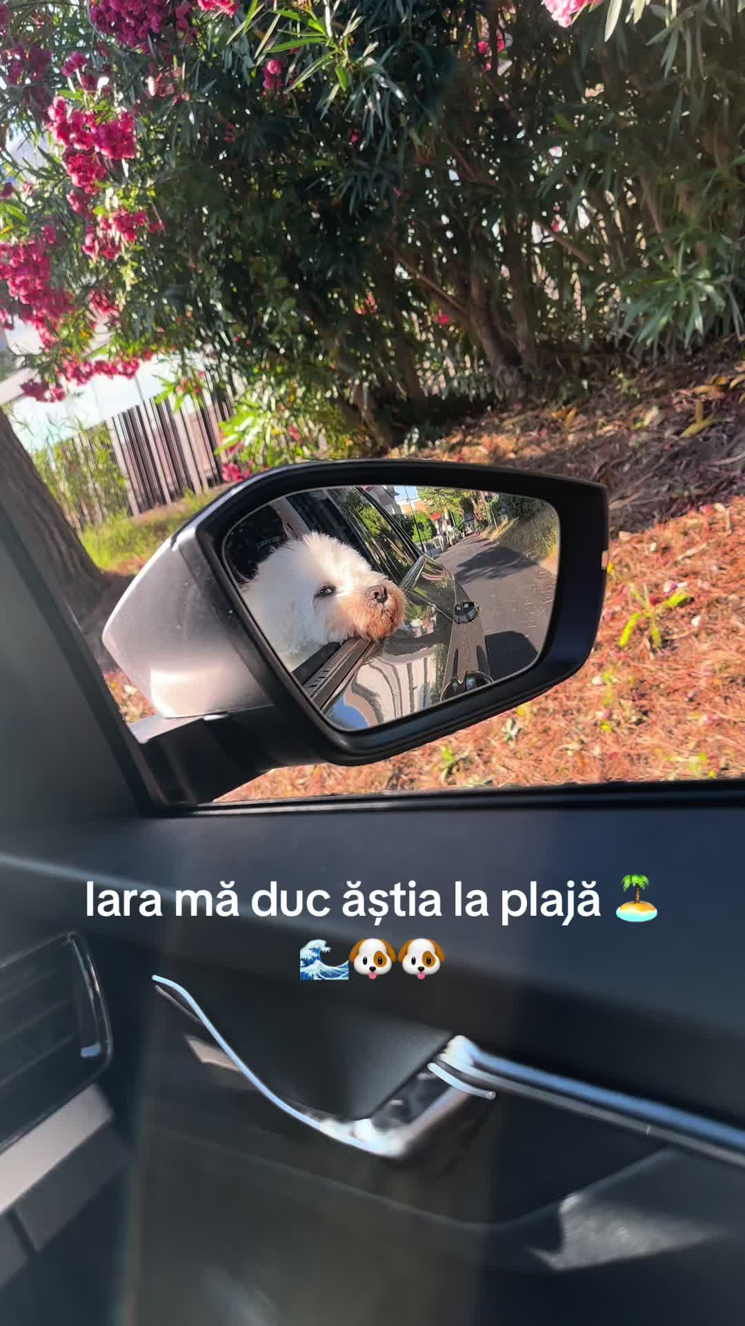 @🤫kykystefan🤫
