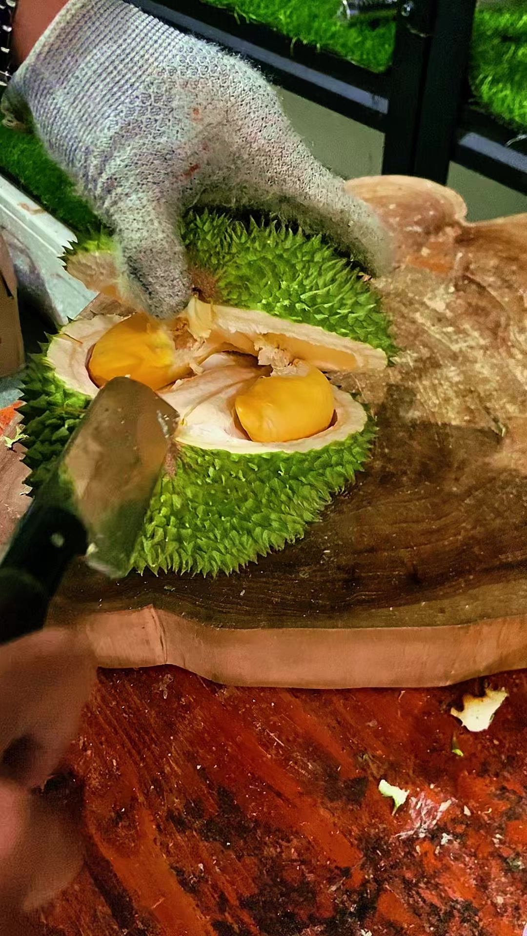 @Cicip Durian