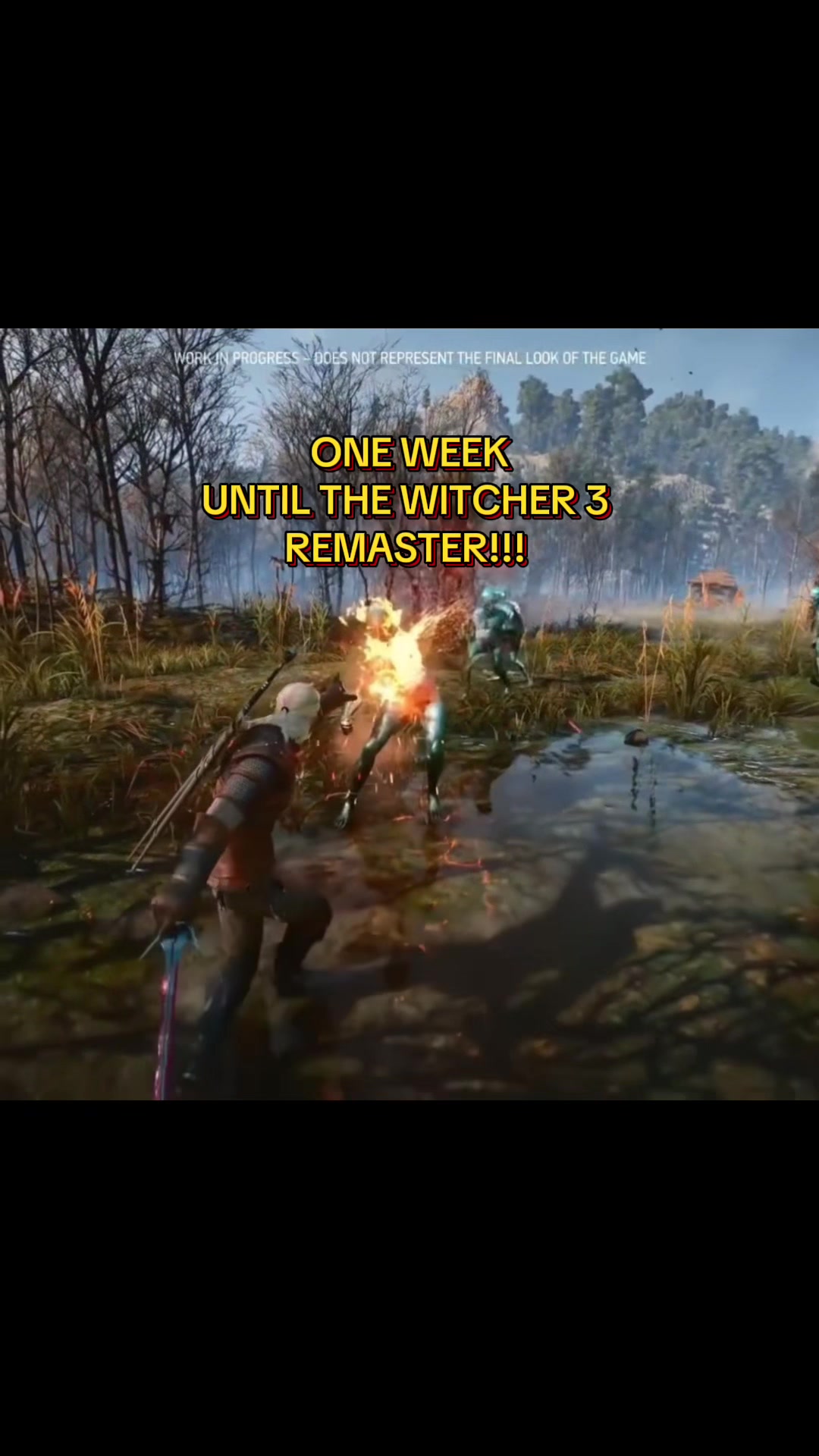 @witcherenthusiast
