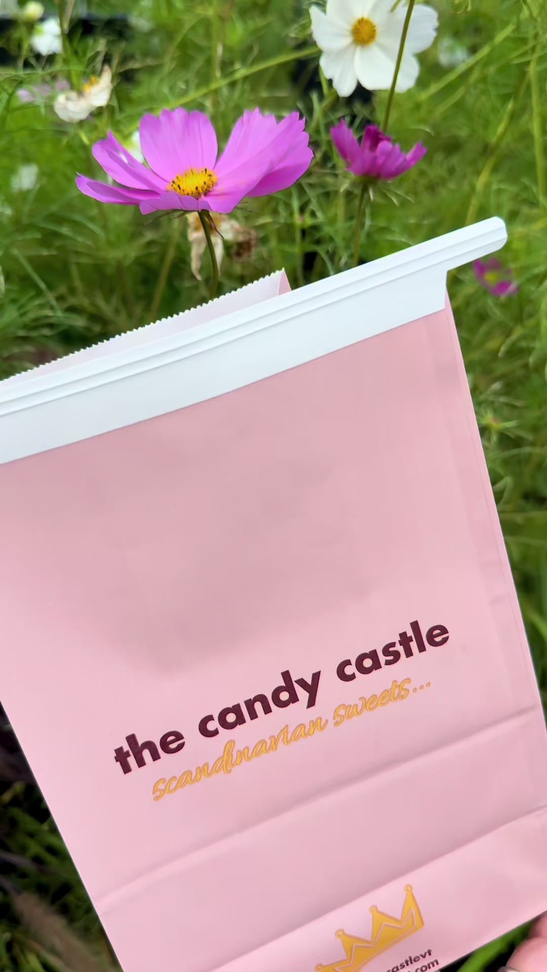 @candycastlevt