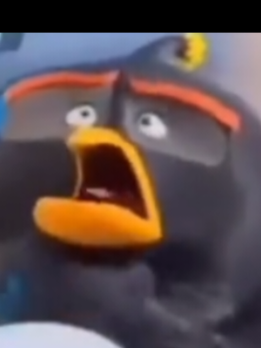 @( 🎧🐟 ) verifiedidiot