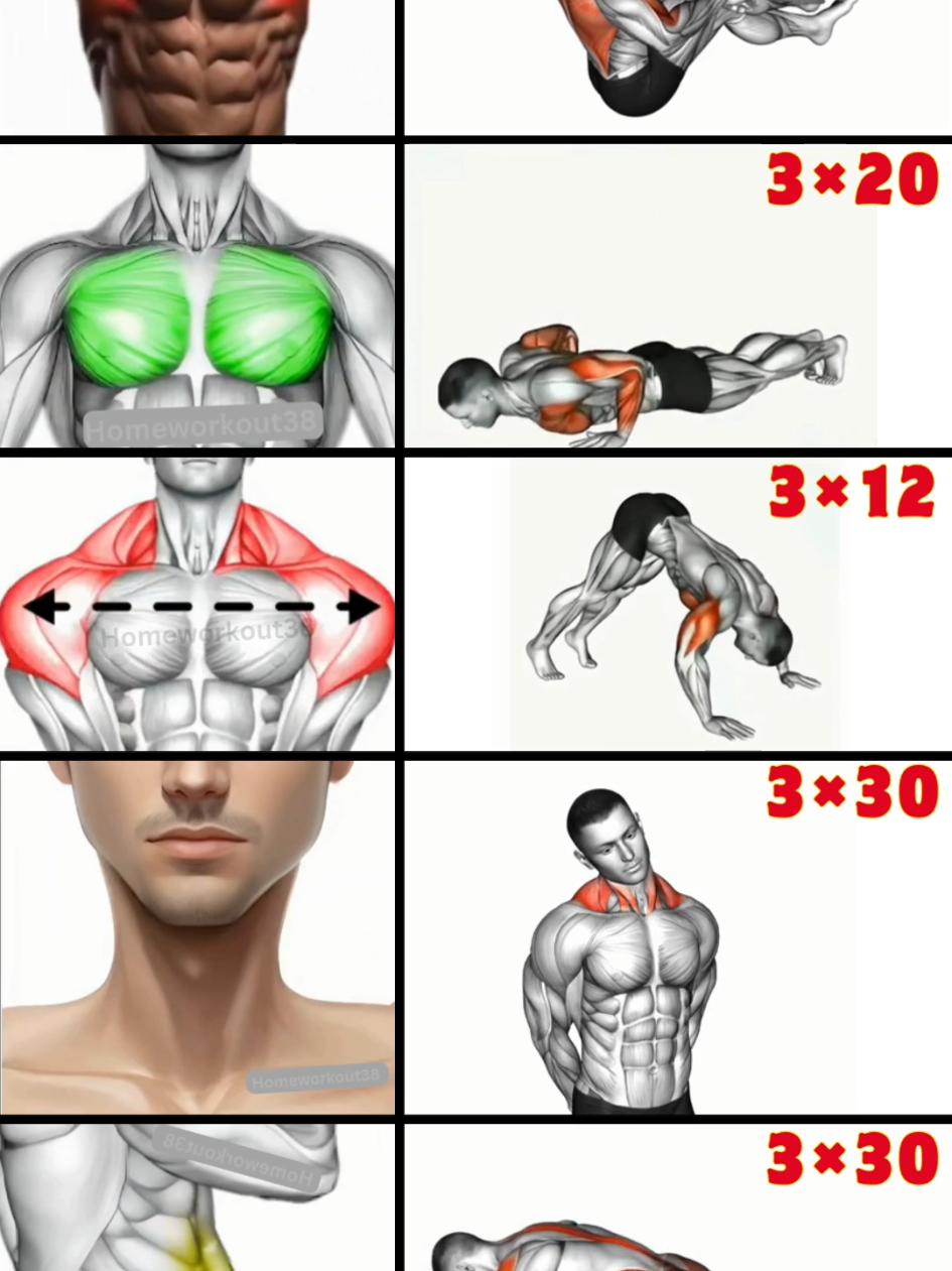 @HOMEWORKOUT