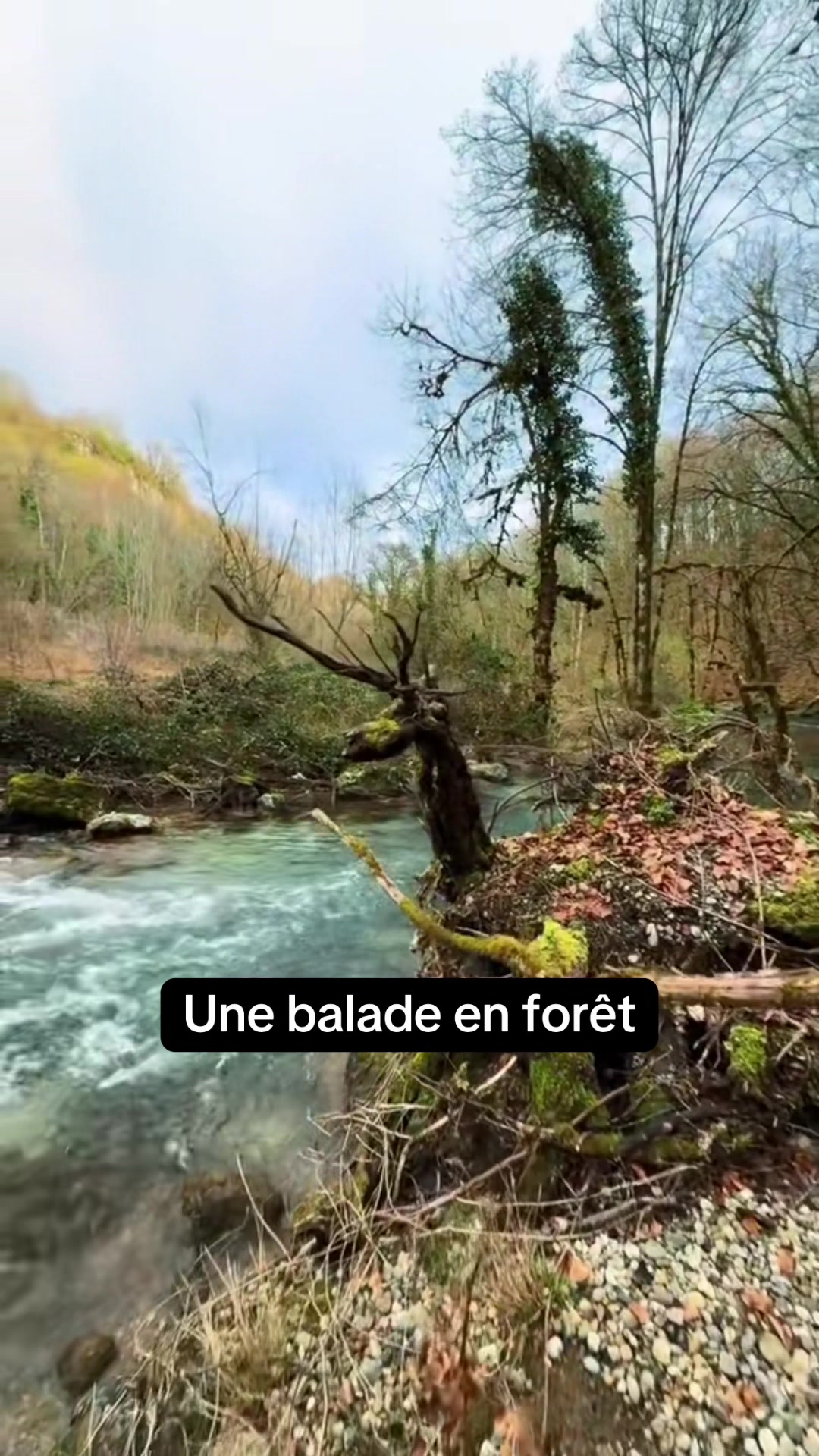 @L’exploratrice 🌎