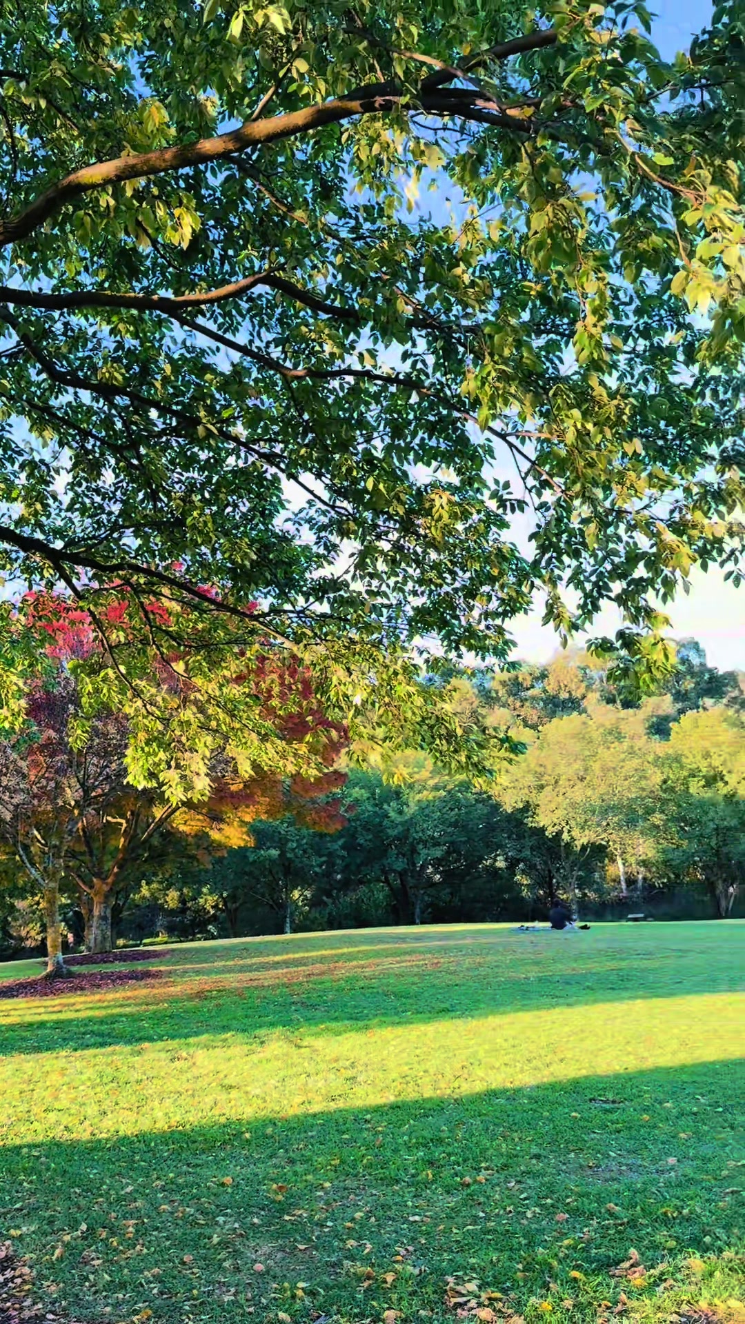 @Visit- Melbourne