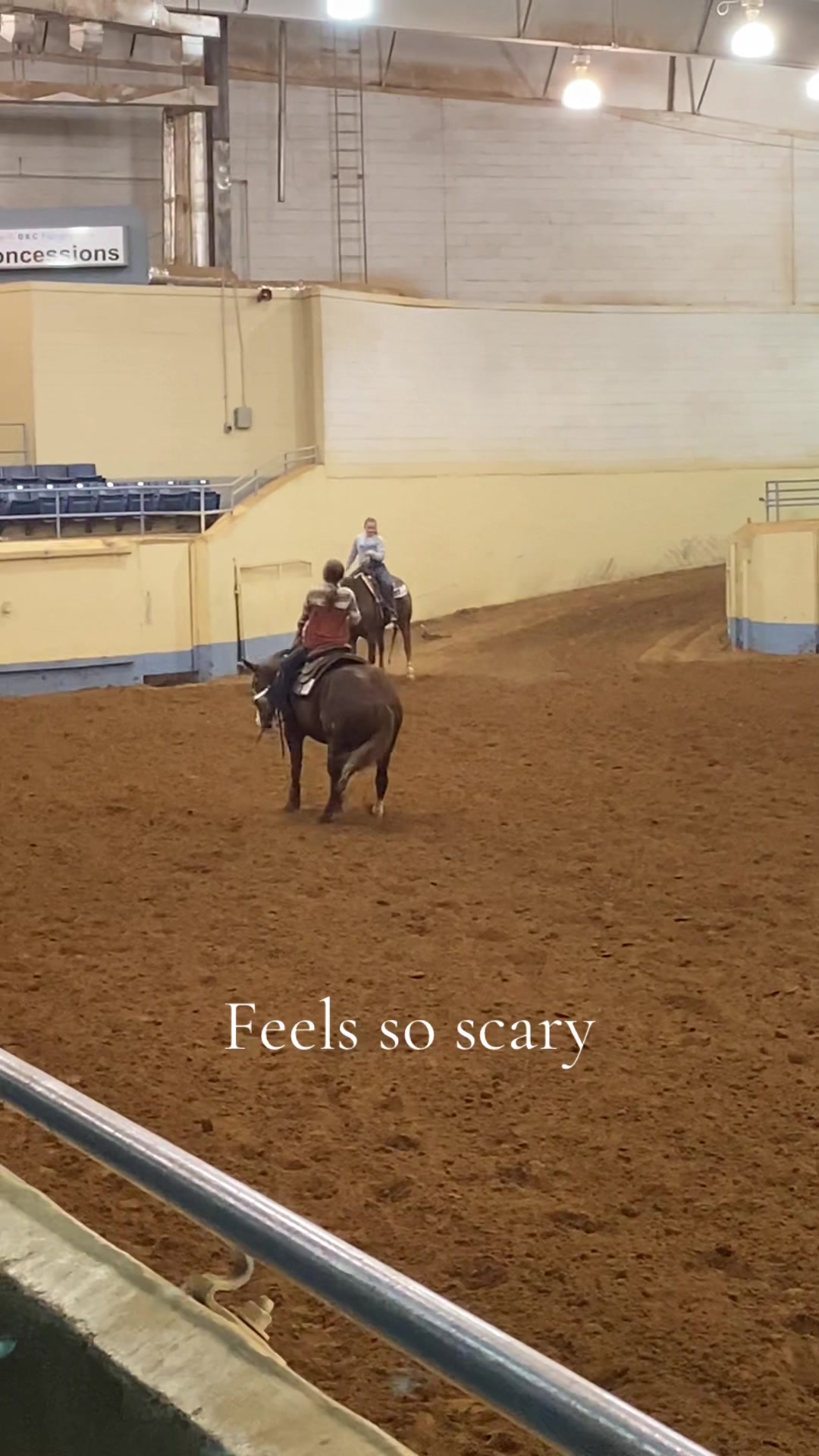 @bryndlekaye_horses