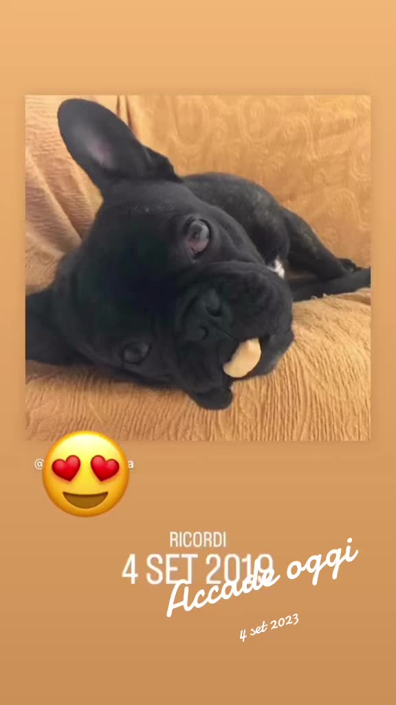 @Apolide