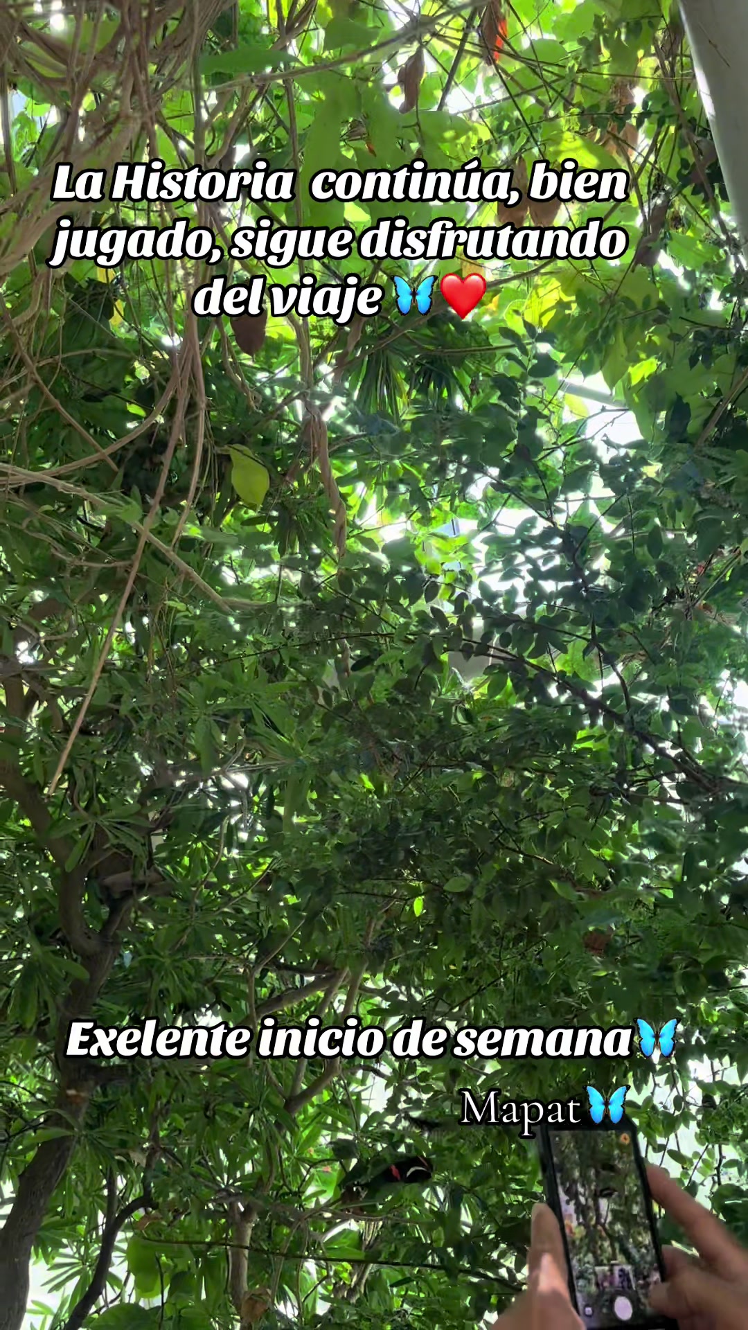 @Martha P. Betancourt Hernández