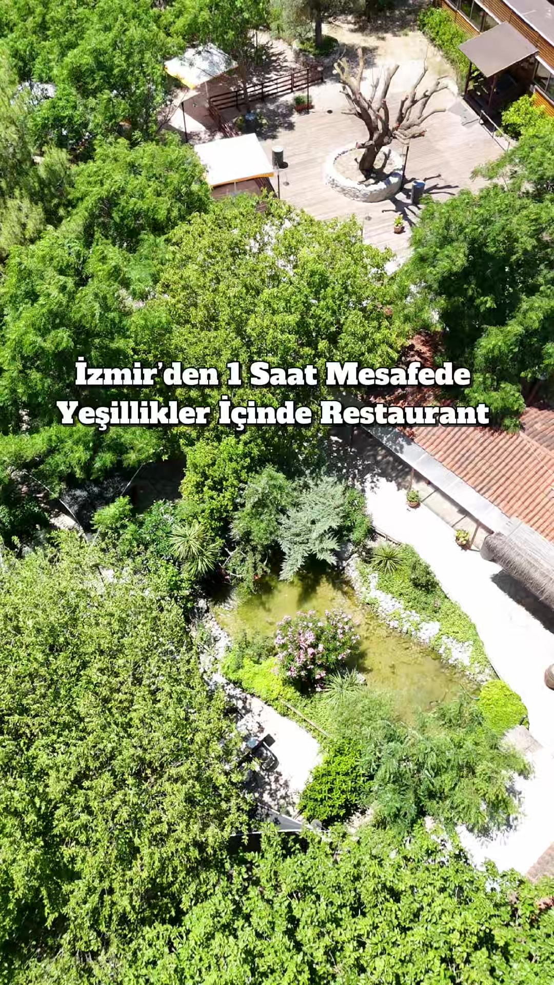 @gezegemiz