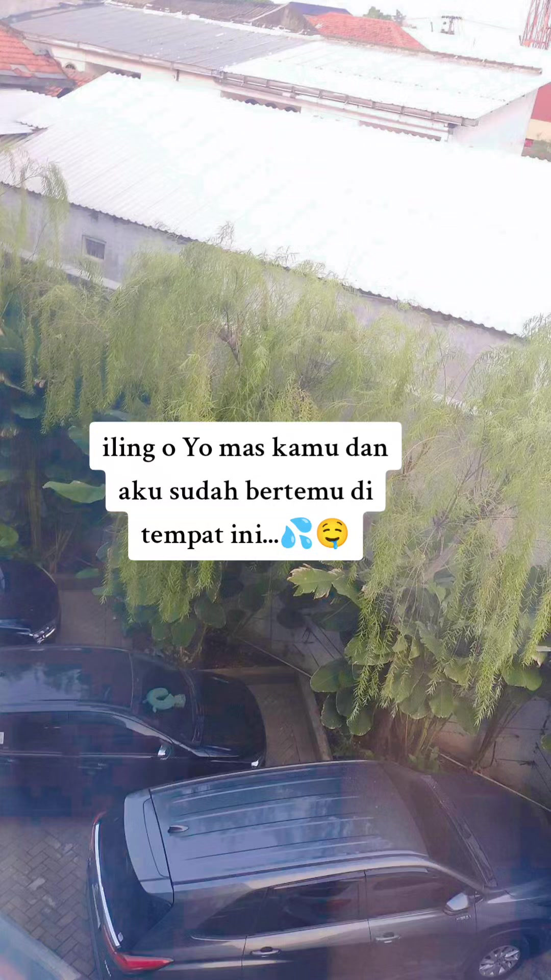 @Pocari Sweat 500ML🇭🇰