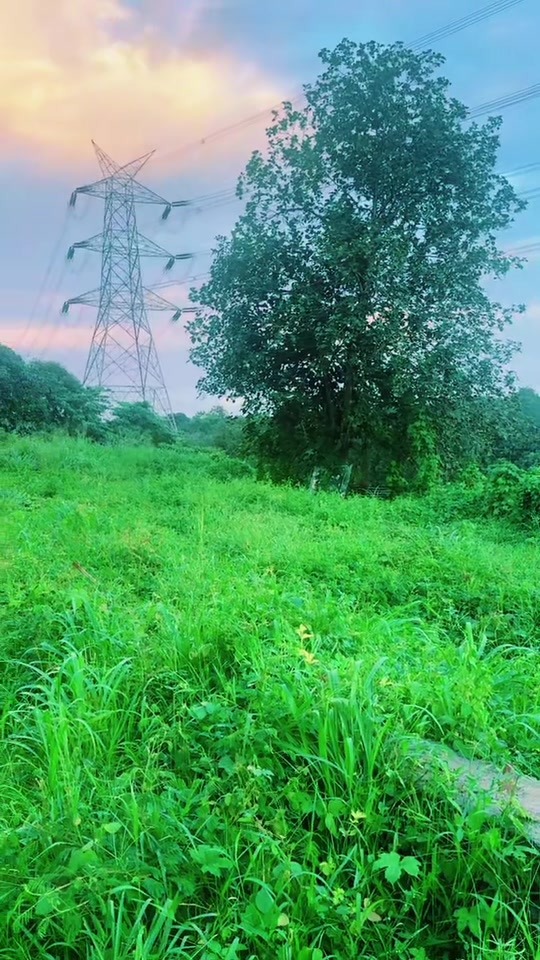 @rajeenaptpm