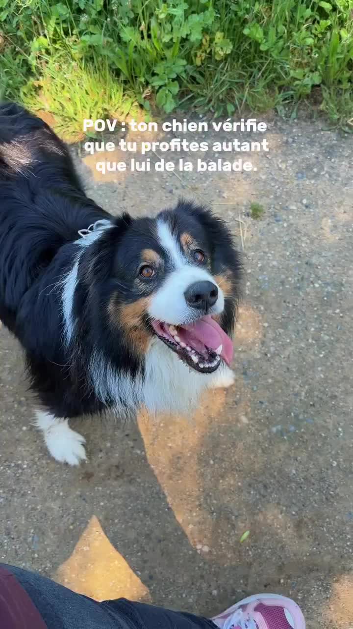 @La Patt’Enchantée