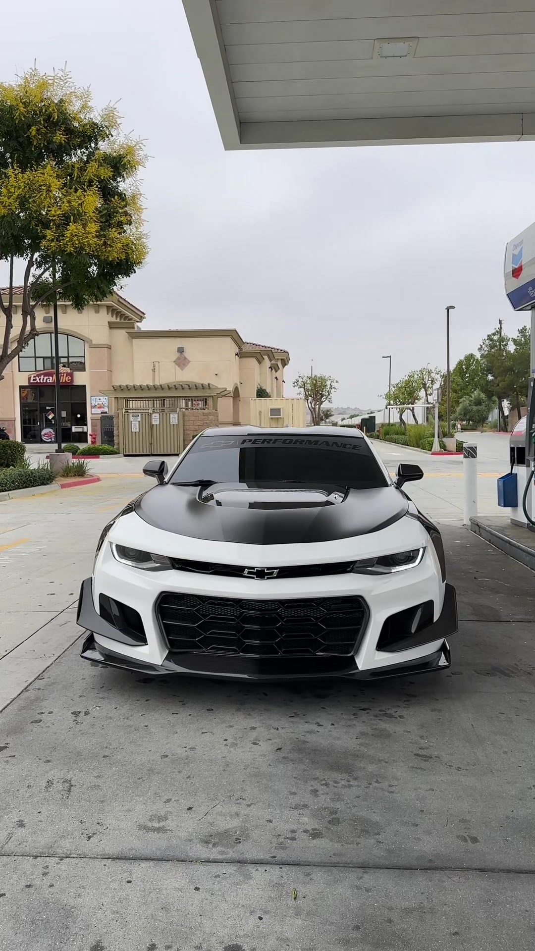 @SHHHZL1