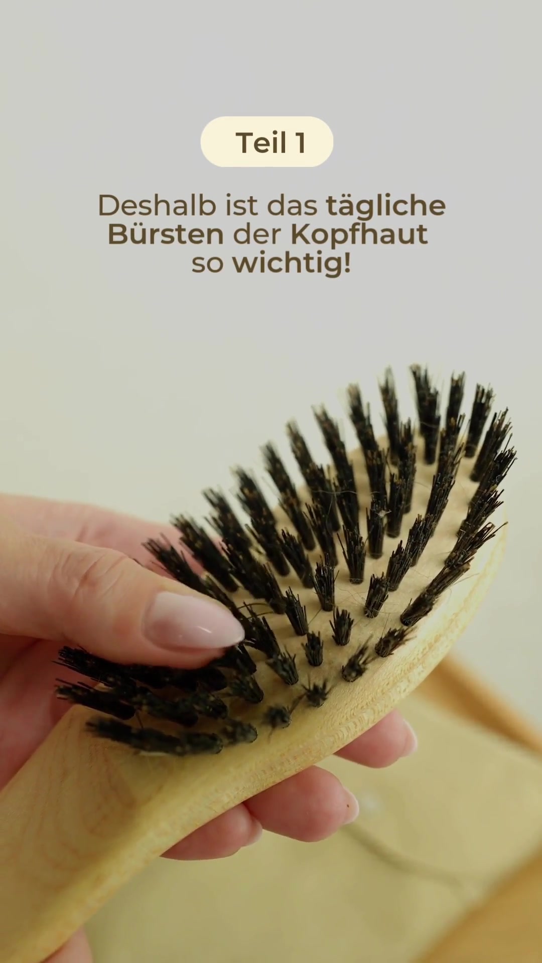 @Salon Fischer