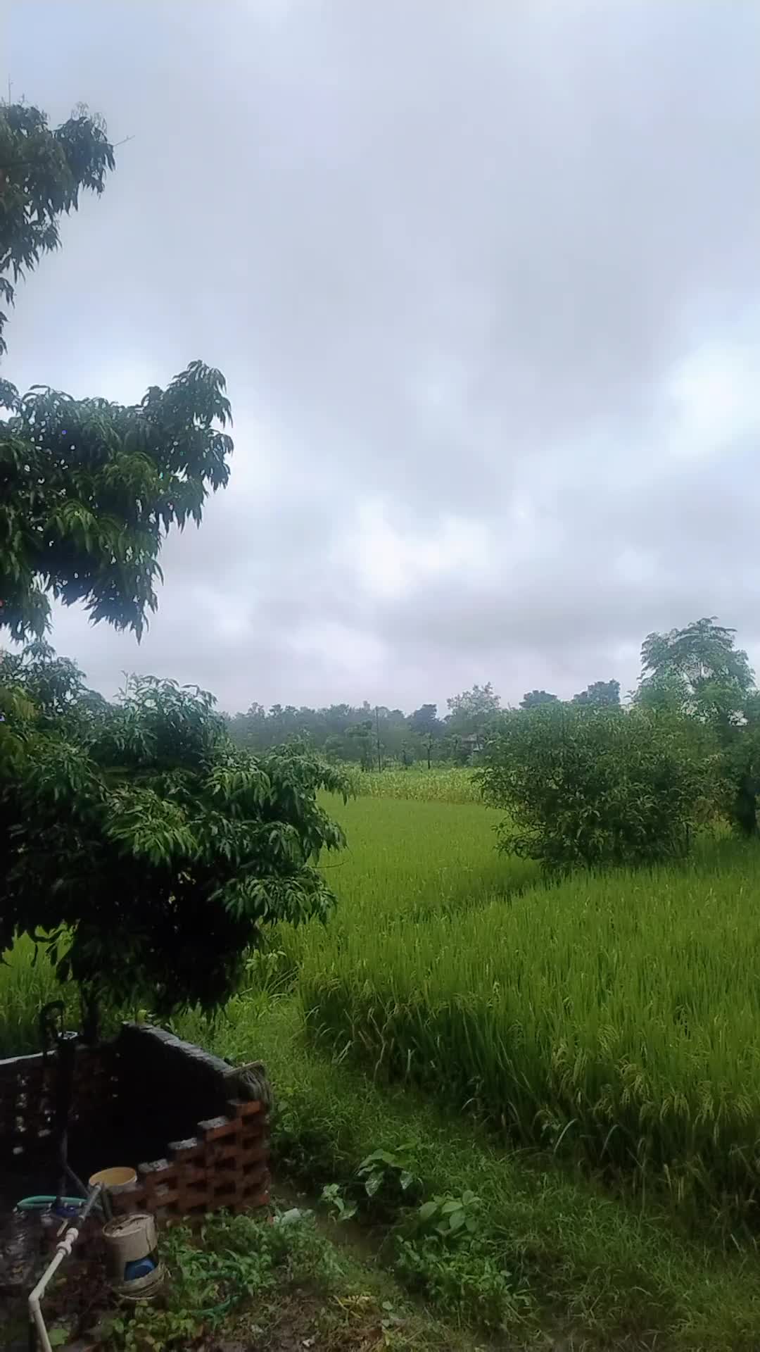@Rajiv💗Abeena