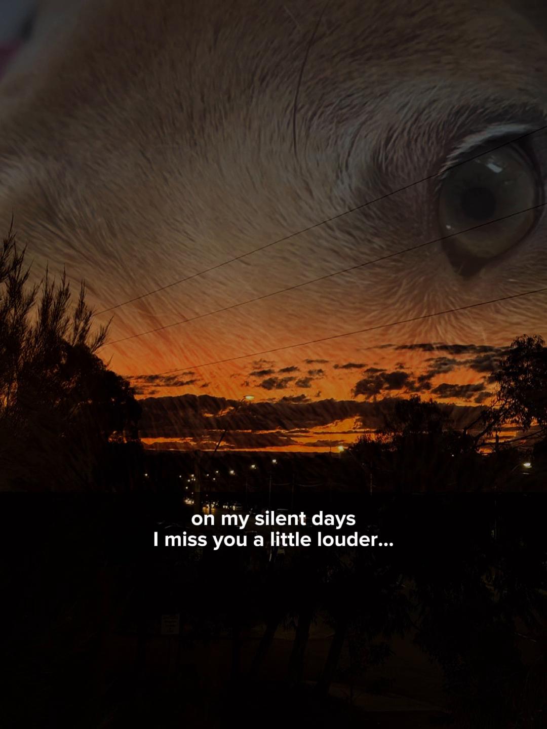 @danilc614🐾