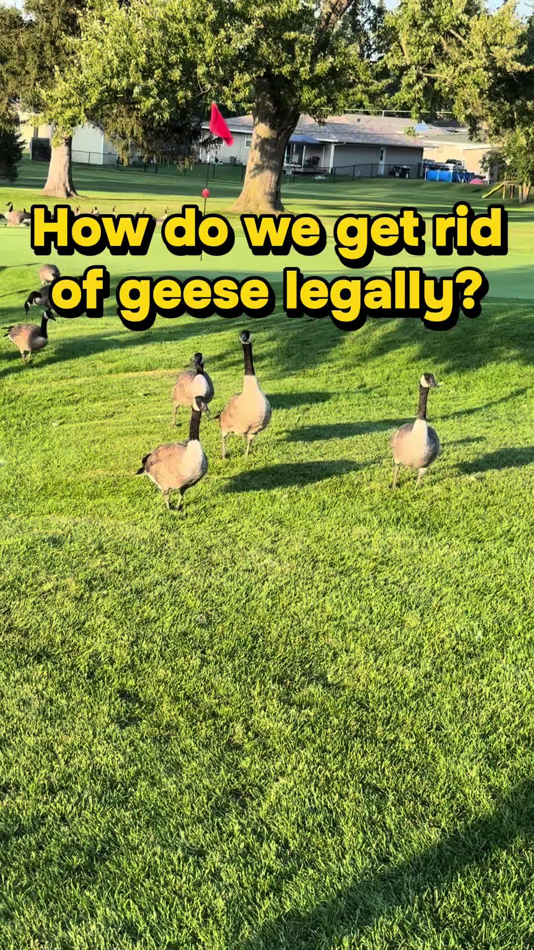 @Indian Creek Country Club (IA)
