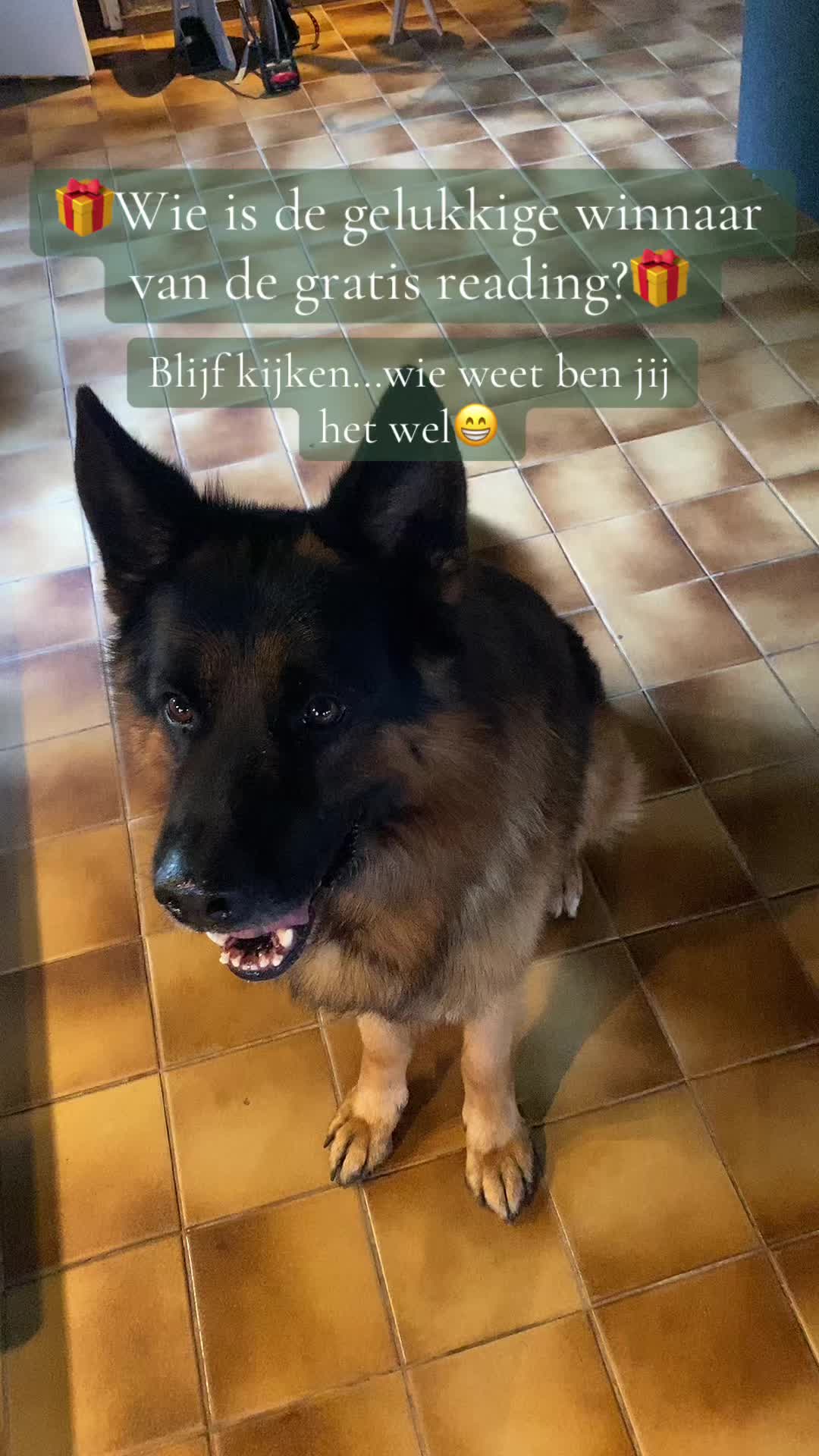 @Marloes.