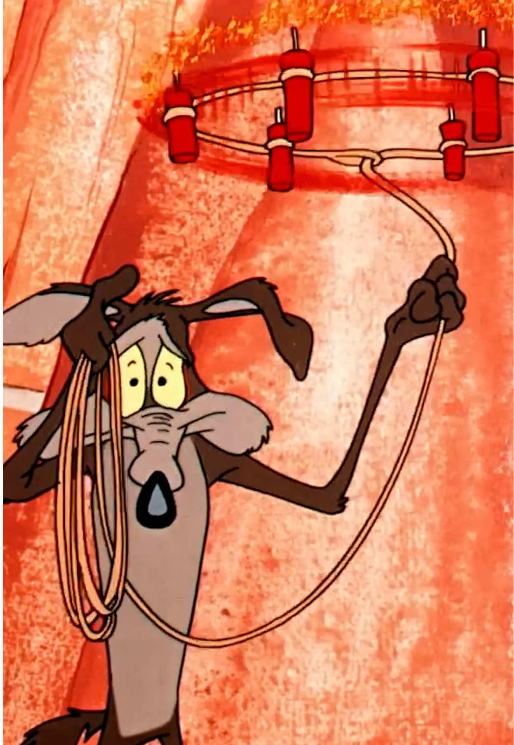 @Looney Tunes
