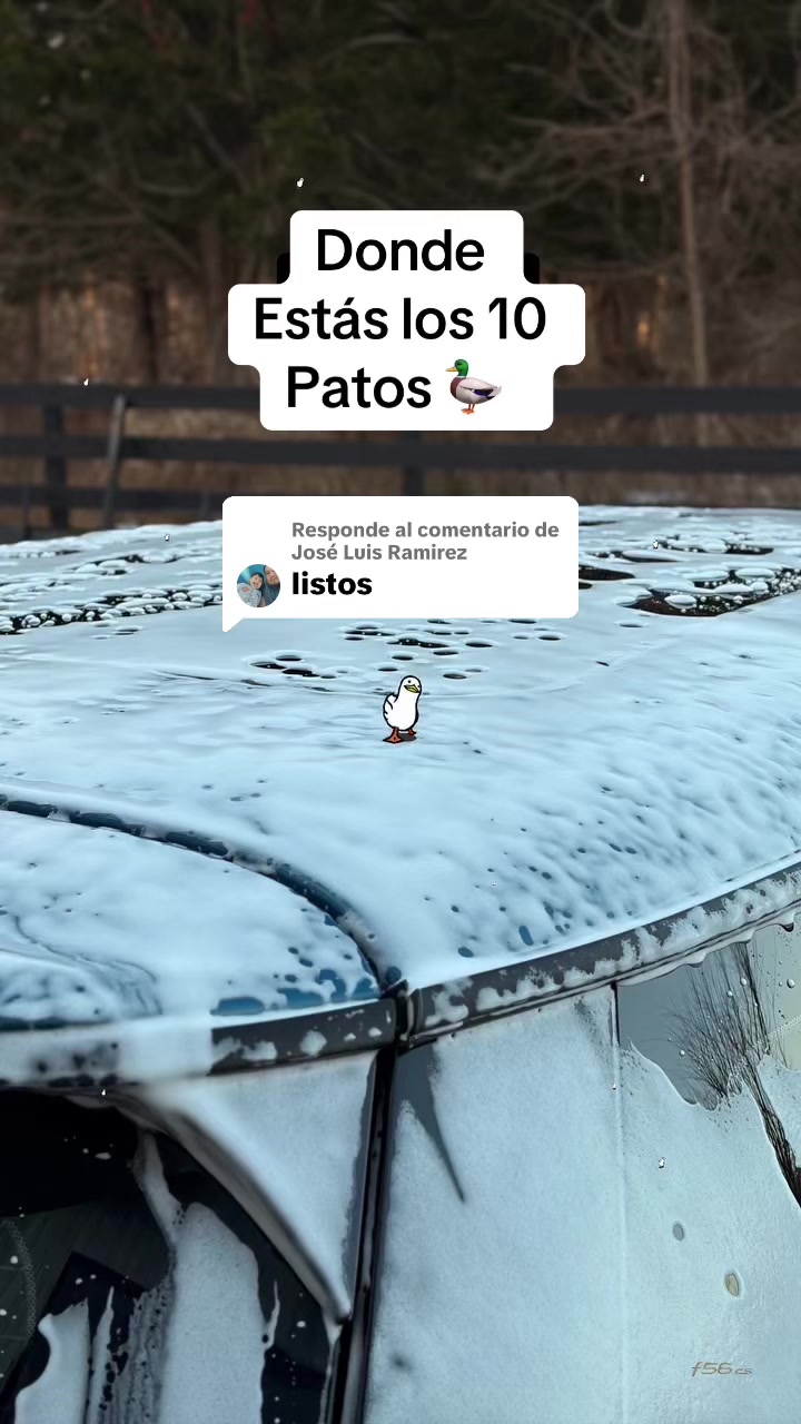 @Cuentos de Terror