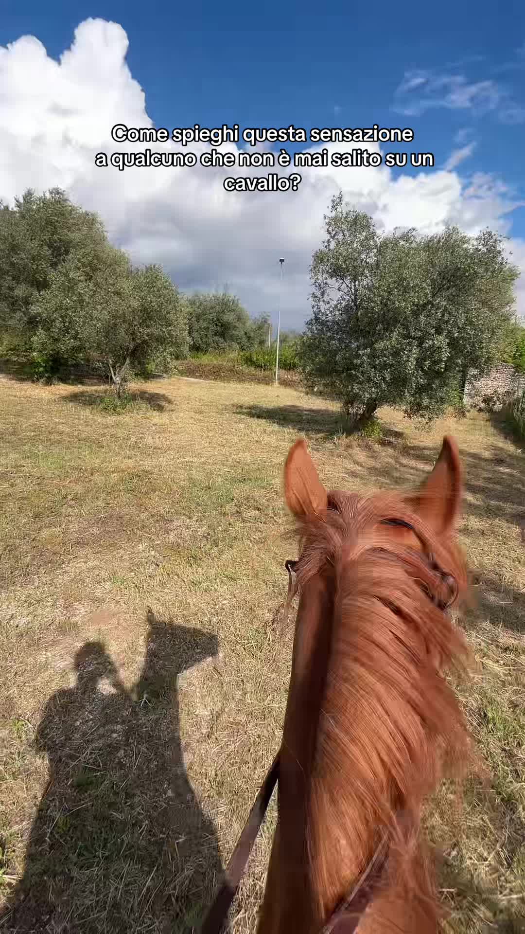 @Rò🖤💫