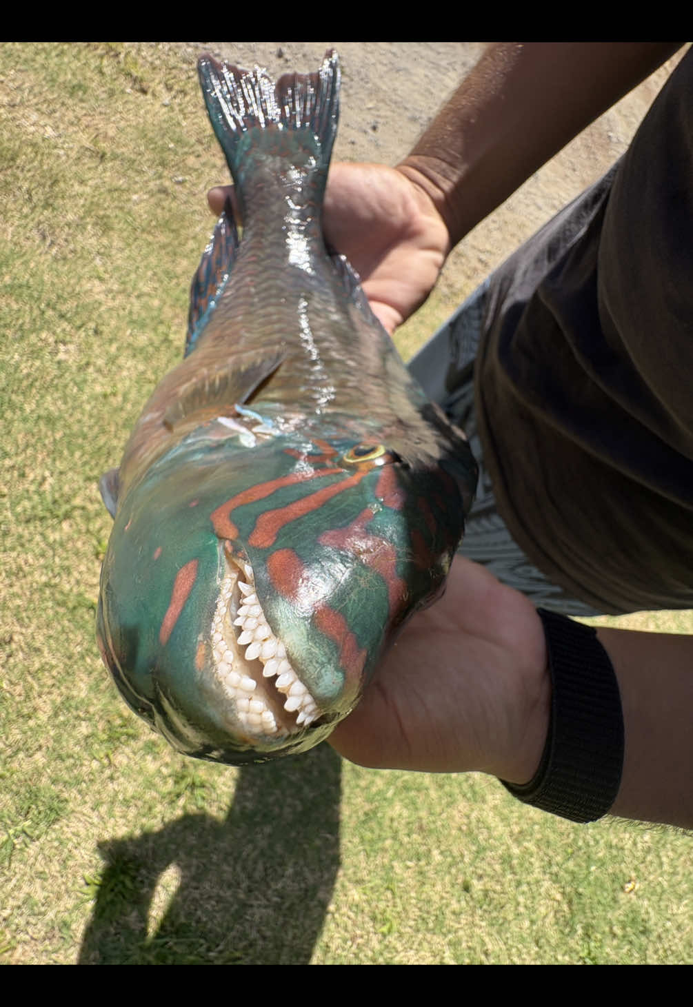 @fishmason
