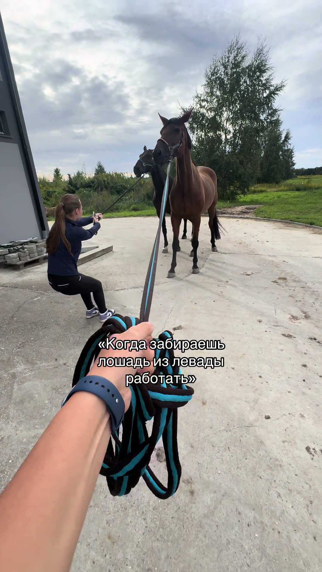 @equnadix