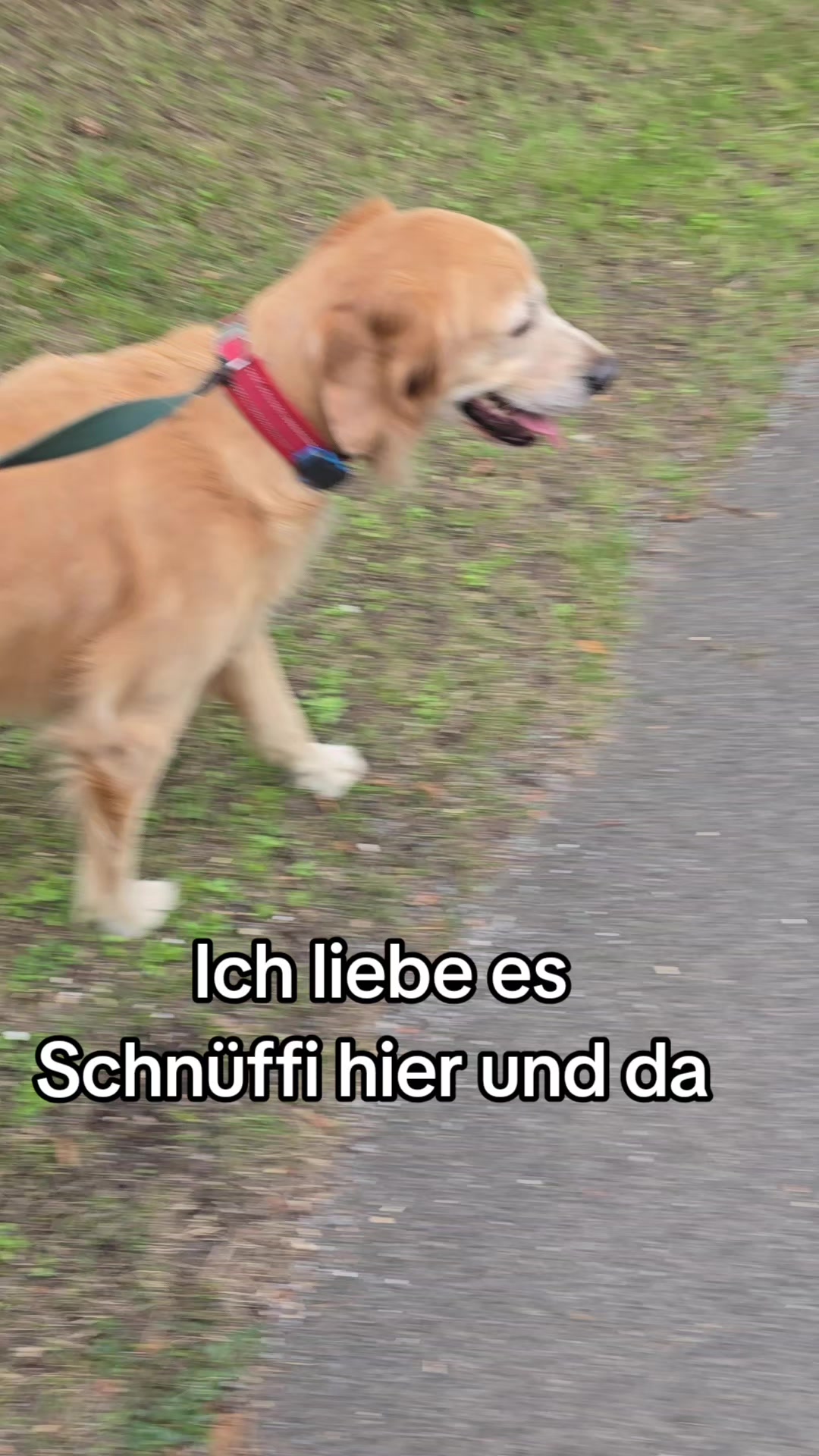 @Fellnasen WG