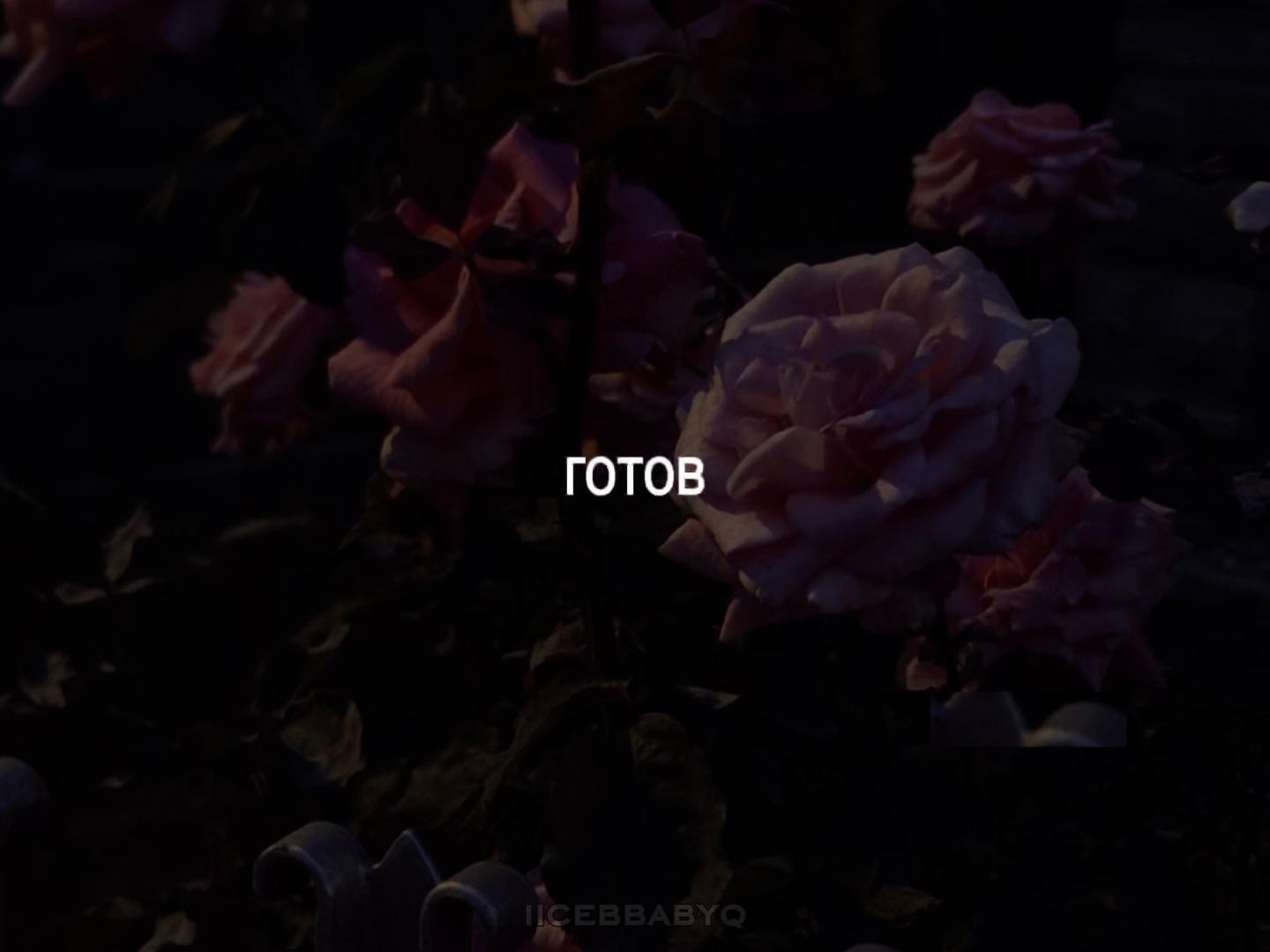@lyrics 🎧