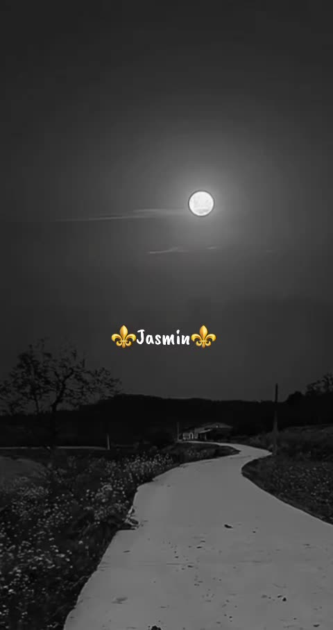 @⚜️Jasmin⚜️kralj👑