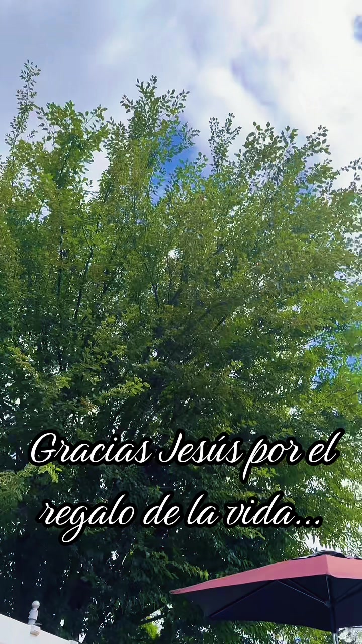 @13LesBelles13