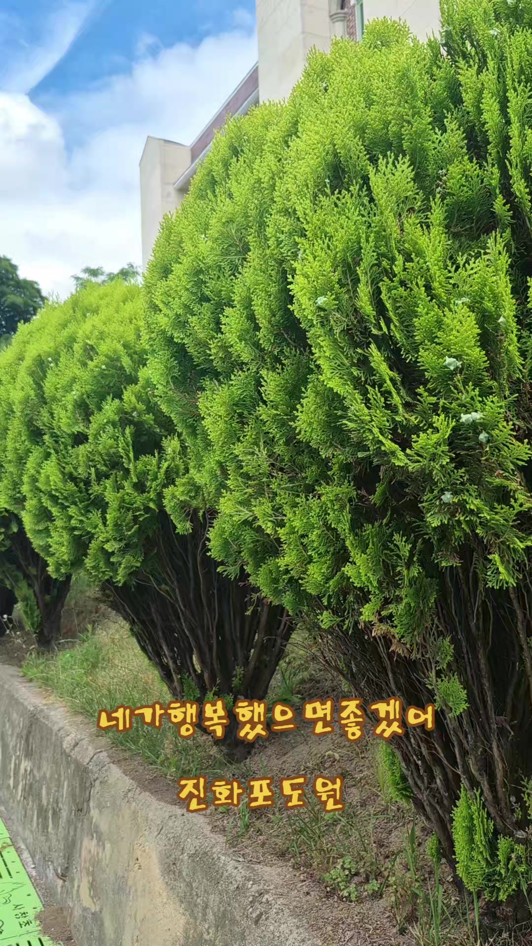@진화포도원