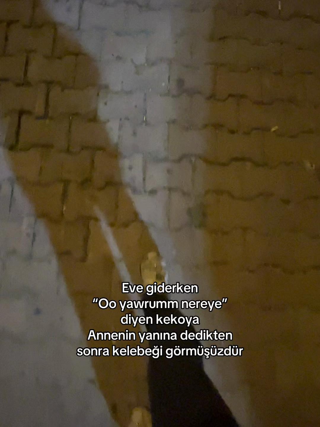 @M.C