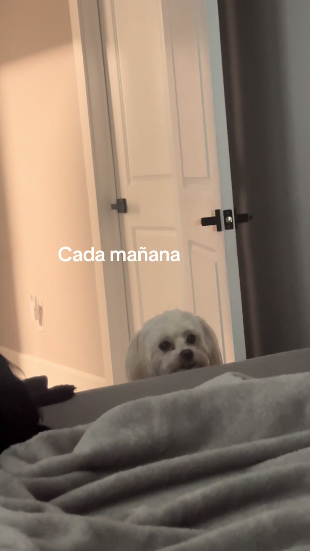 @sandovibez