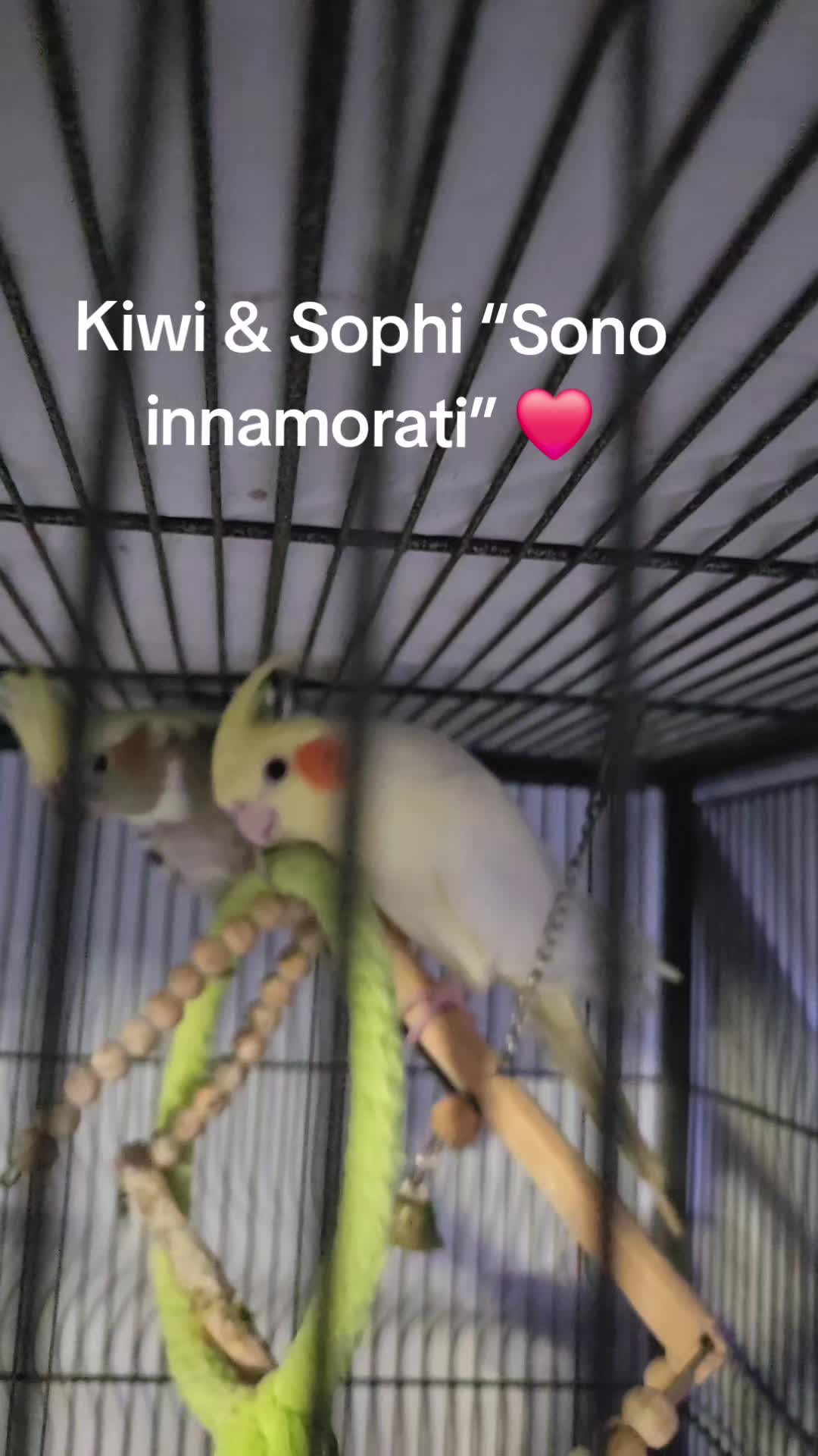 @Sueños de Mariposa 🦋
