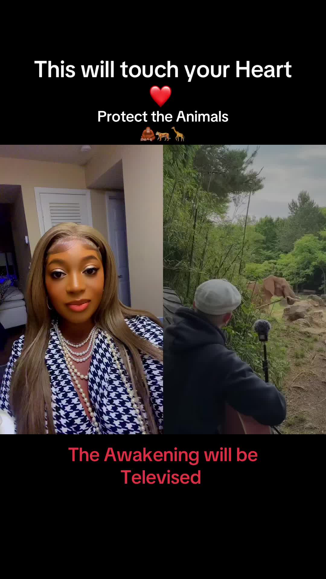 @aroramoonmonroe
