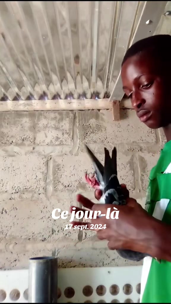 @OMZOLOFT🕊🦜🇸🇳