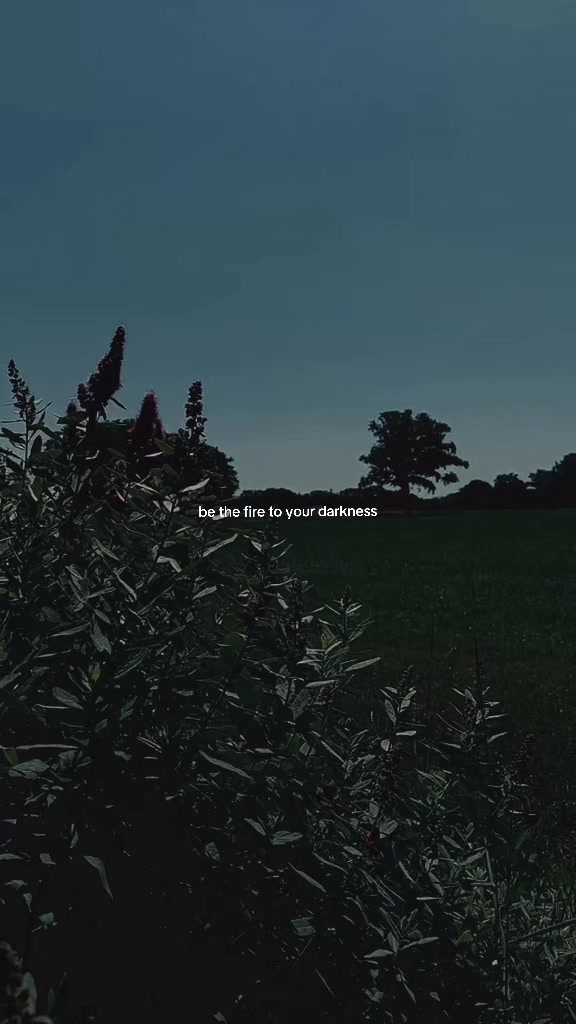 @Inspiredbynature🌿