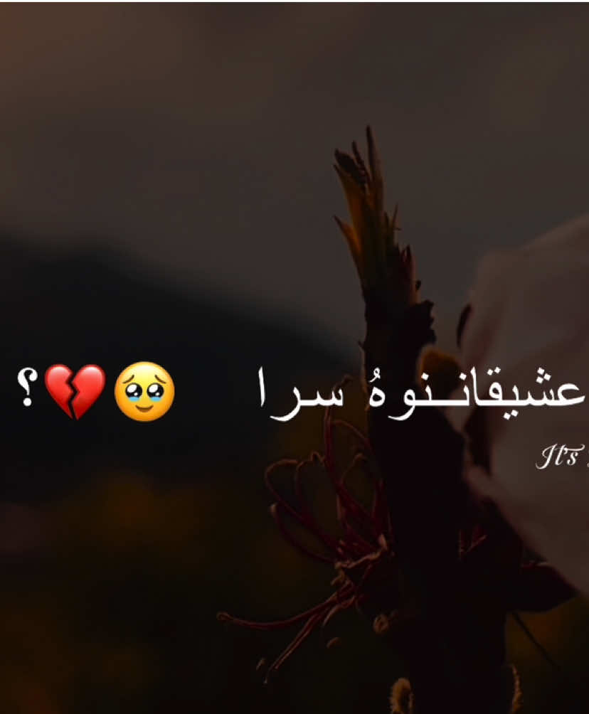 @𝐢𝐓'𝐬 𝐁𝐞𝐞 ~ヅ