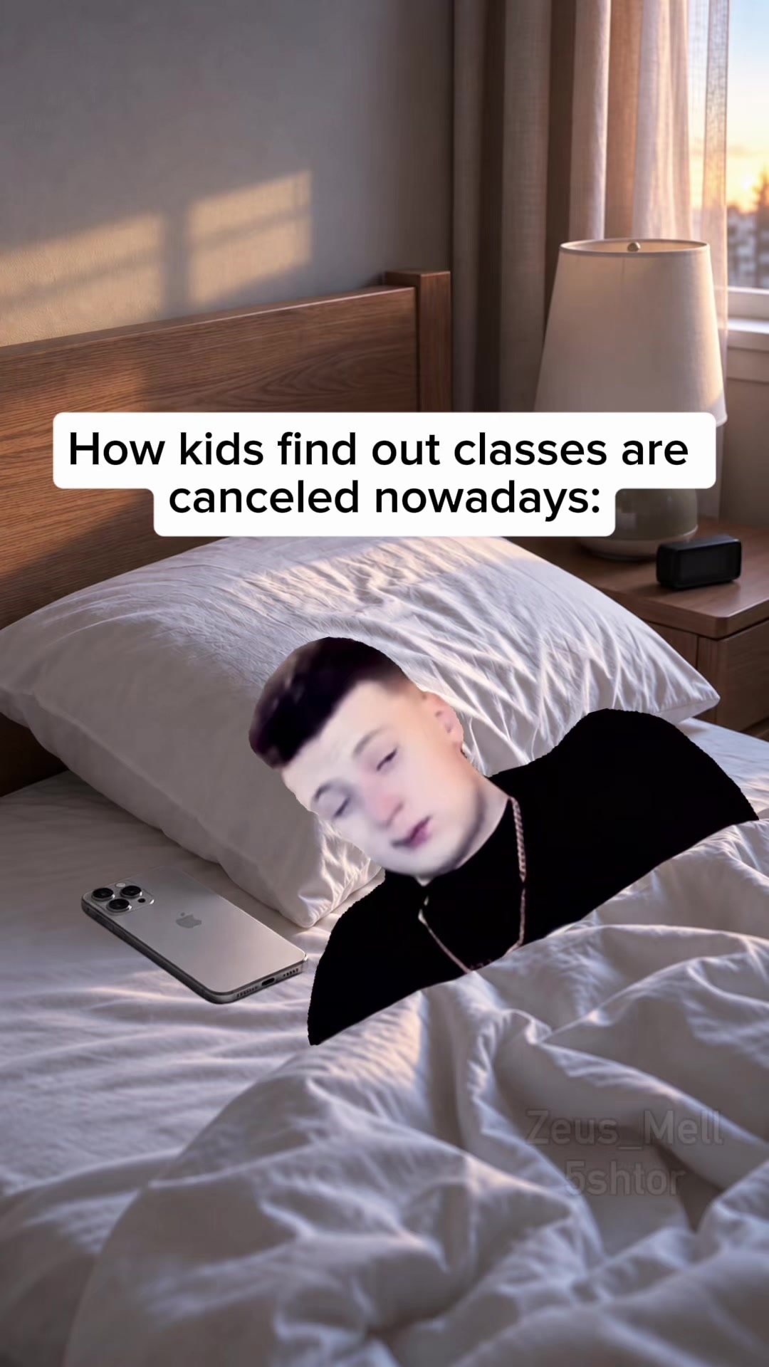 @ZeusMell