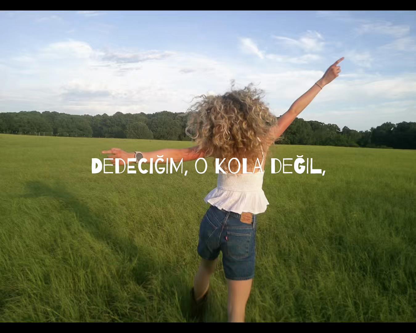 @aralid