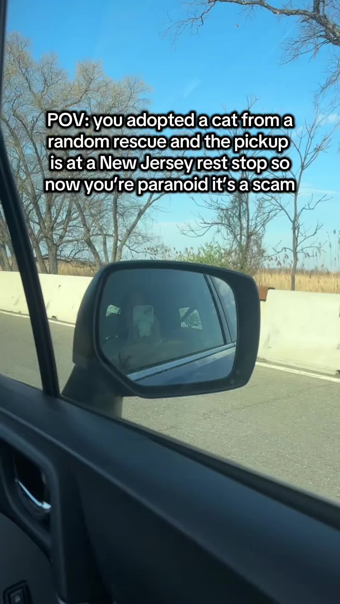 @midlifetruthfairy