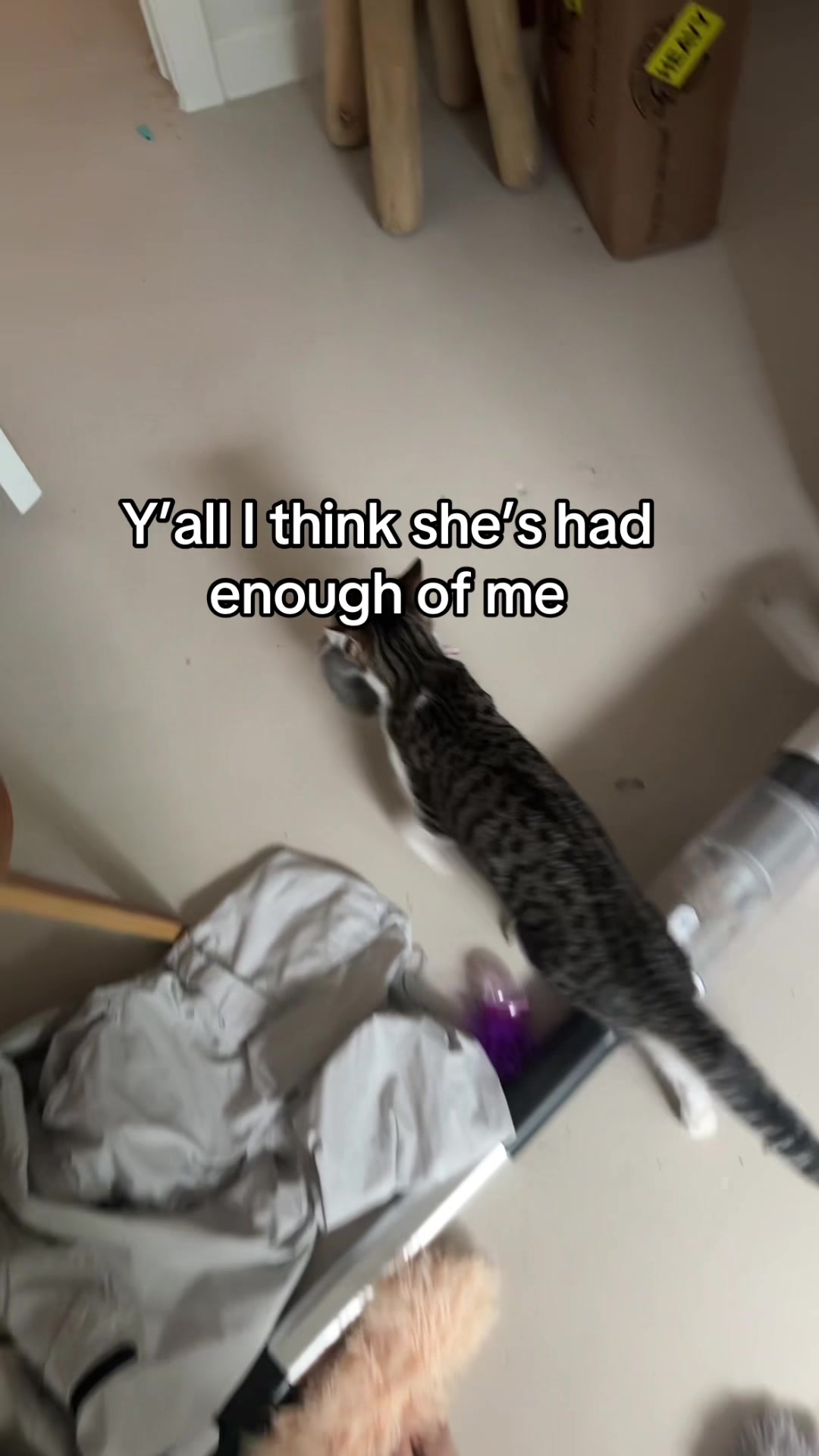 @Hassanwithkittens