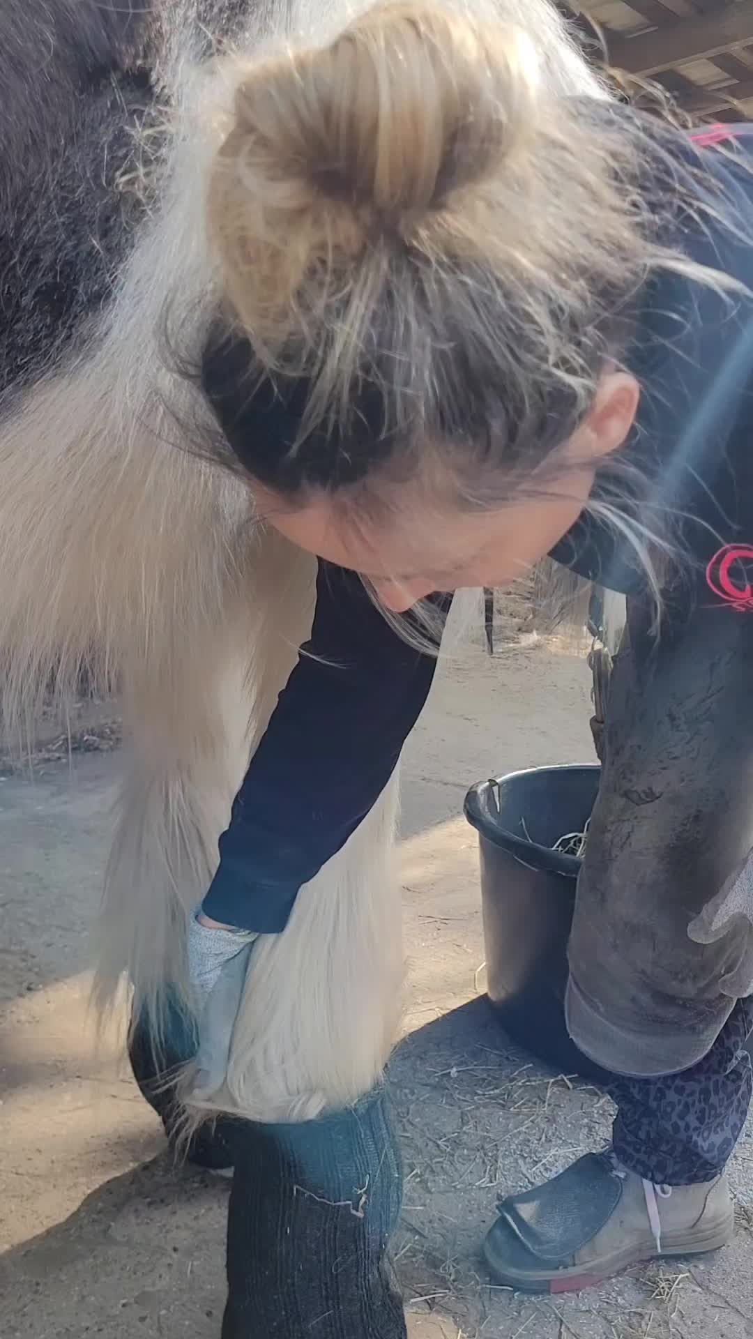 @skilly.hoof.hufpflege