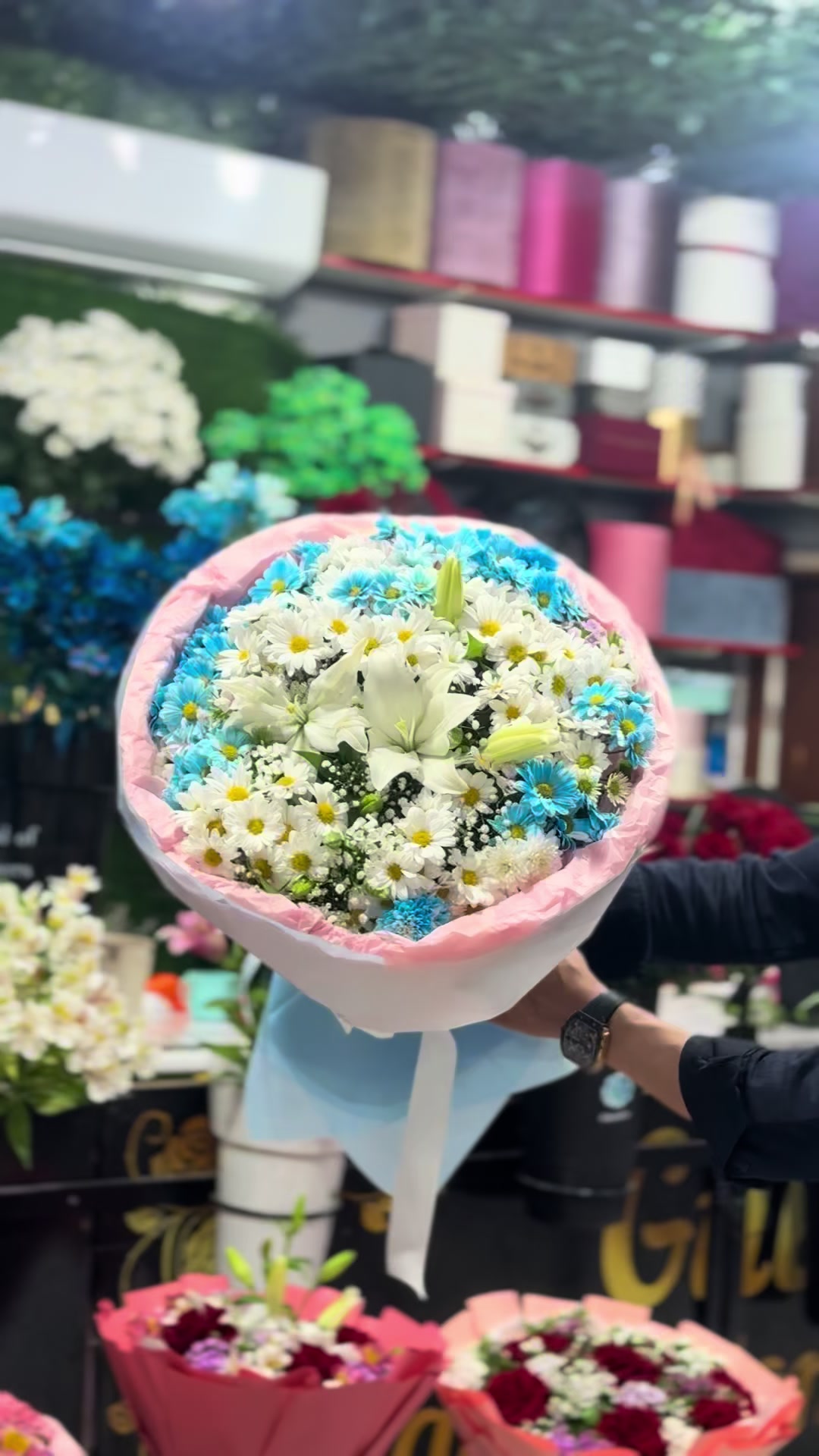 @Gülüm Flowers sumqayıt