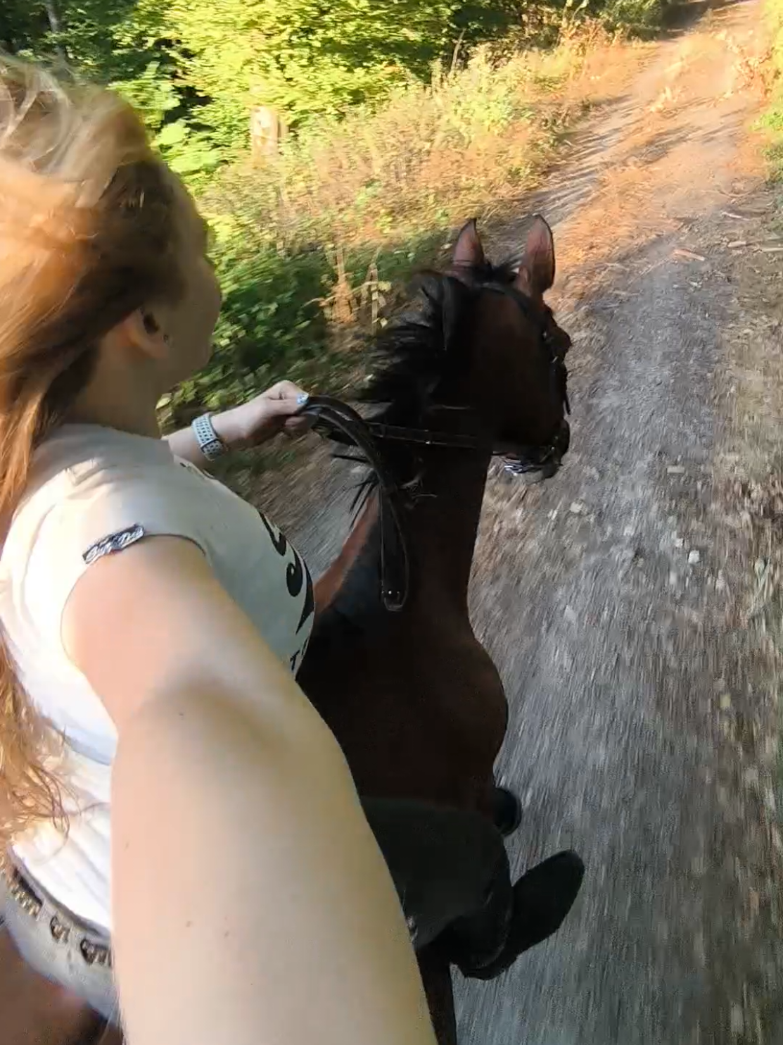 @Spring"Pony"Casha