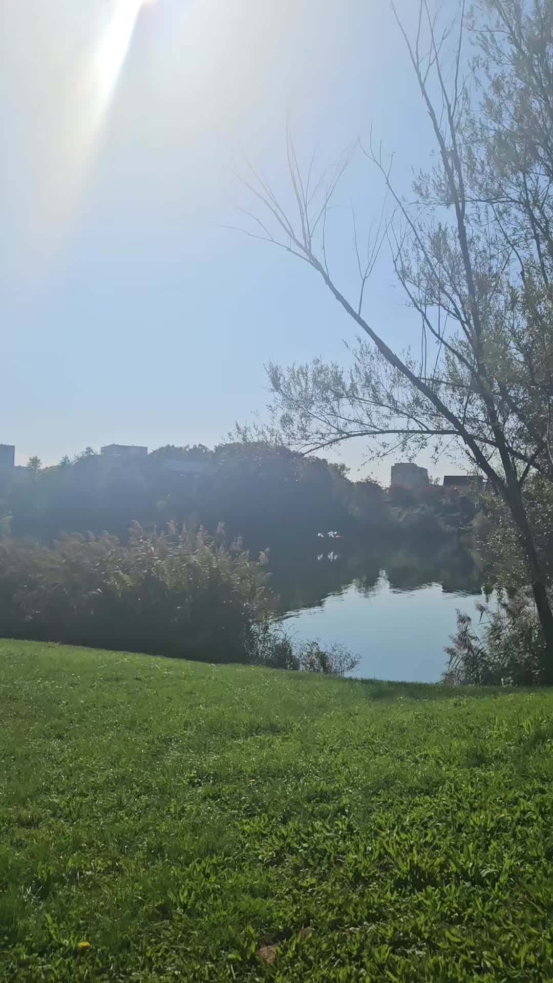 @PaDiana88