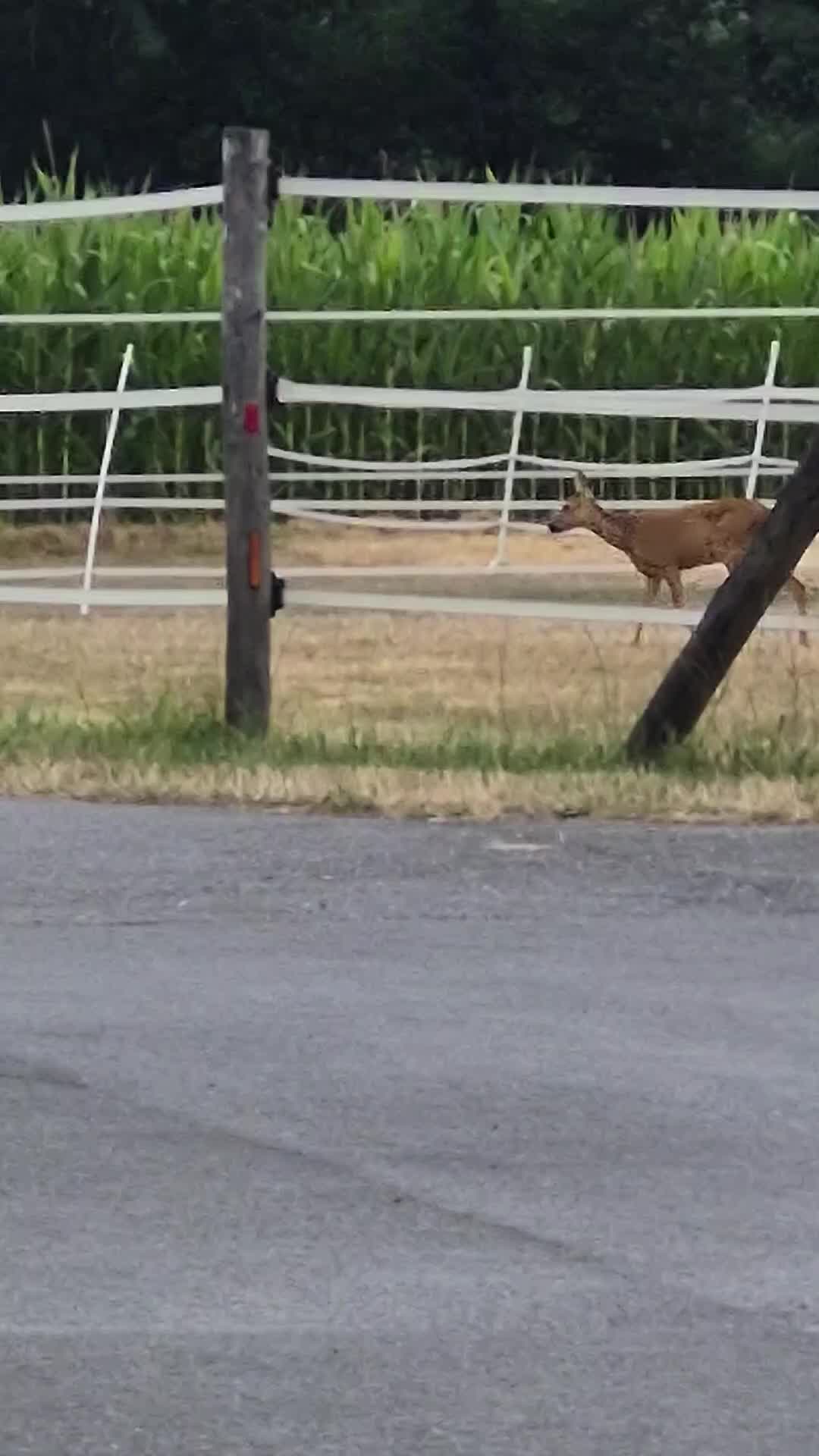 @❤️Natalie❤️