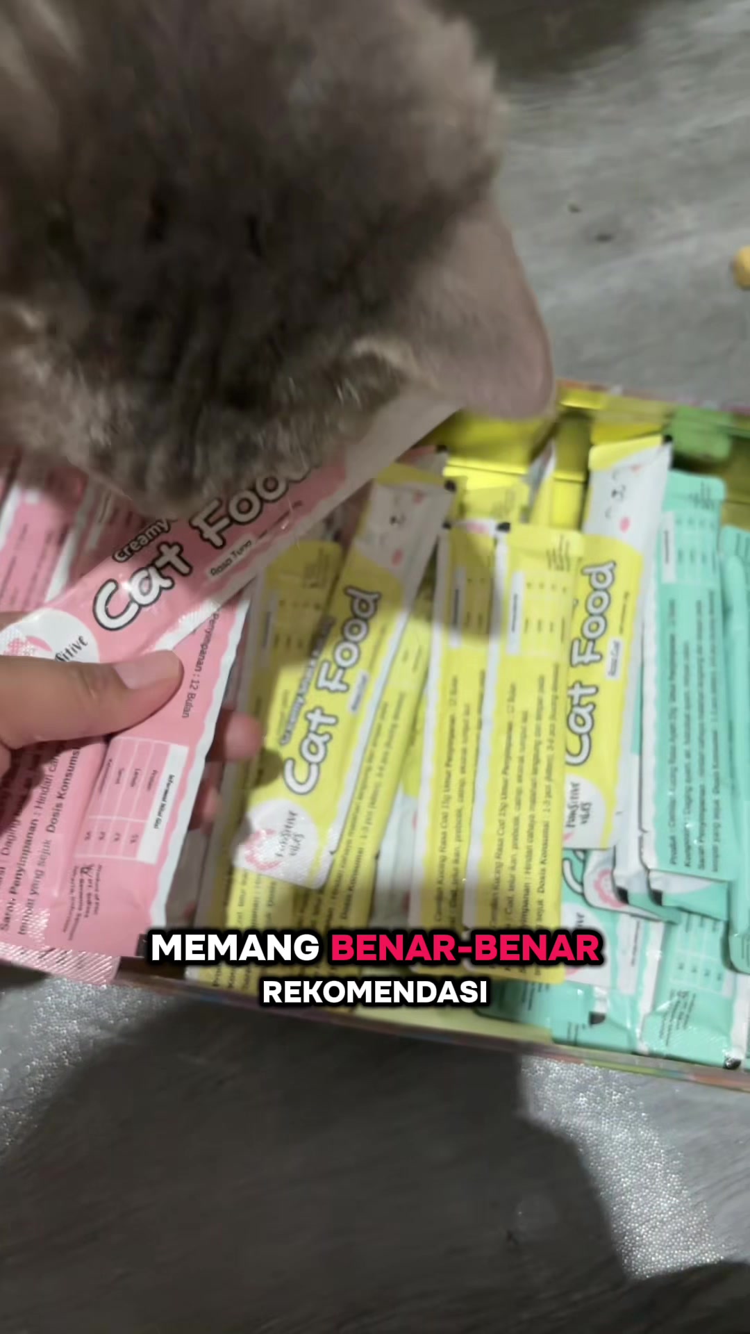 @BUMI ANABUL😺